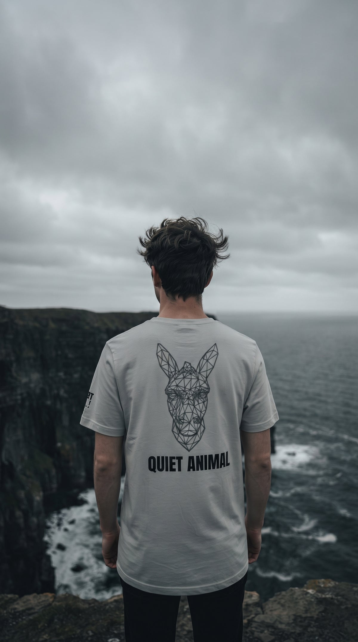 Quiet Animal. Ash Graphic Tee | Unisex Streetwear | Stay Stubborn STBN