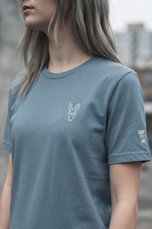 Quiet. Not Sorry. — Steel Blue Graphic Tee | Women's Streetwear | STBN